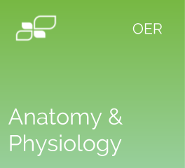 Anatomy and Physiology