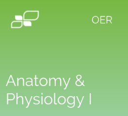 BIO168: Anatomy and Physiology I 