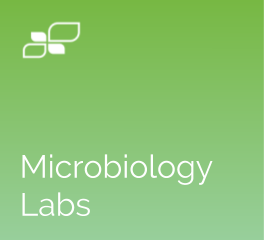 Microbiology Labs