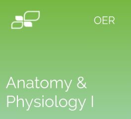 Anatomy & Physiology I