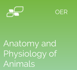 Anatomy and Physiology of Animals