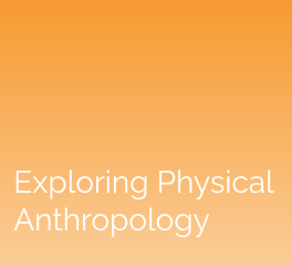 Exploring Physical Anthropology