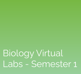 Biology Virtual Labs – Semester 1: eScience Labs