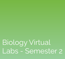 Biology Virtual Labs – Semester 2: eScience Labs