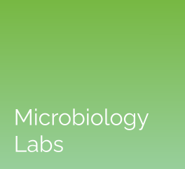 Microbiology Labs: eScience Labs
